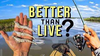 How to use shrimp lure: inshore saltwater kayak fishing Charleston SC