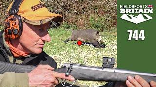 Fieldsports Britain – Wild boar frenzy