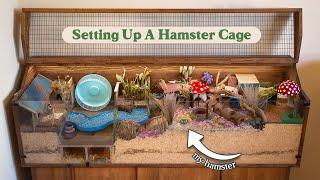 Set Up A Hamster Cage With Me | Natural Woodland Garden