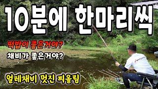 시간당 10마리씩 붕어가 나오네요 / 얼레채비 멋진 찌올림 / 채비가 좋은건지? 떡밥이 좋은건지? / 끊임없이 나오는 붕어낚시