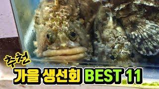 안먹으면 손해보는 가을 추천 생선회 & 수산물 BEST!!