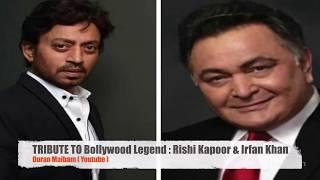 TRIBUTE to Rishi Kapoor & Irfan Khan || Duran Maibam