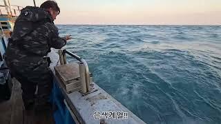 빅게임전문선사 현주피싱!! 알방어,중방어 타작조황 고기가 있는곳.. 언제든지 달려갑니다 평일 인원모집중