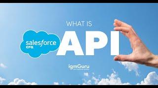 What is API Class in Salesforce CPQ | Salesforce CPQ Tutorial for Beginners [Updated 2024] - igmGuru