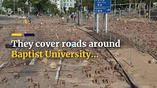 Aerial view of Hong Kong’s protest fortified campuses.mp4