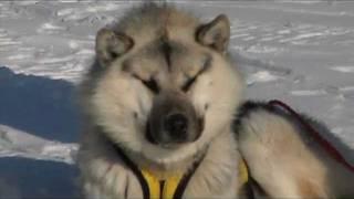 Puvirnituq Snow Festival Vignette - Adventures North