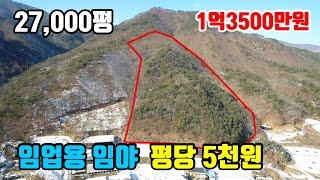 [임야급매물]   평당 5천원  ■  임업인 등록 가능한 임야  ■   27,000평  1억3500만원  ■  (8188)