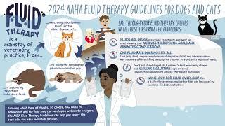 2024 AAHA Fluid Therapy Guidelines for Dogs and Cats Summary