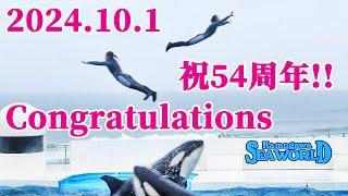 祝!!開業54周年!! 鴨川シーワールド シャチショー KamogawaSeaWorld  orca killerwhale