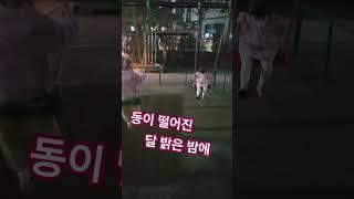 #황민호 거문고야    #윤탱이  나하고  언니 너하고#거문고야