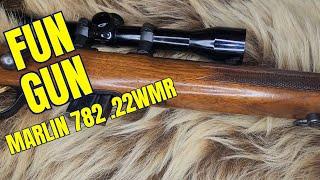 Fun Gun! Marlin 782 .22WMR