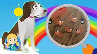 Lily The Dog Has Really Itchy Fleas! | Doctor Poppy's Pet Rescue | Cartoon Animals For Kids