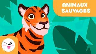 Les animaux sauvages pour les enfants - Vocabulaire pour les enfants