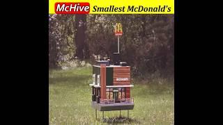 World's smallest McDonald's  - McHive #shorts