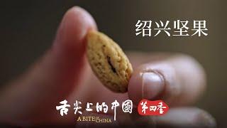 【《舌尖上的中國》第四季】恐龍時代的瑰寶！小小的香榧子 衍生出了榧子魚捲、香榧糯米簍等眾多美食！ | 舌尖上的中國 A Bite of China