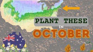 What to Plant in October A Complete Guide for Zone 6b and Australian Gardener