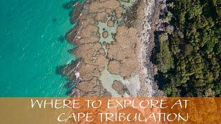 Exploring Cape Tribulation - Where to stay and what to see....