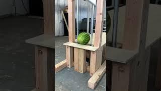 Guillotine vs watermelon 