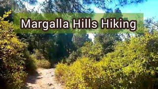 Hiking around Margalla Hills | Margalla Hills Hiking Trails | Photography of Margalla Hills