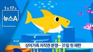 상어가족 저작권 분쟁…31일 첫 재판 | 뉴스A