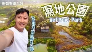 香港濕地公園Hong Kong Wetland Park｜路線介紹｜你意想不到的濕地公園｜天水圍濕地公園｜香港行山｜入門行山路線｜假日拍拖好去處｜香港好去處｜香港簡單行山｜航拍｜利奧郊遊GoGoGo｜