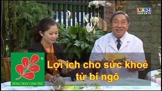 LỢI ÍCH CHO SỨC KHOẺ TỪ BÍ NGÔ - Lương Y Nguyễn Công Đức
