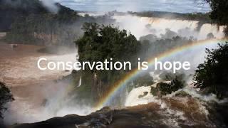 Conservation Is...