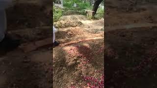 Pyara Islam