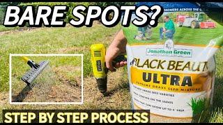 Filling Bare Spots with Jonathan Green Grass Seed | Step by Step Process