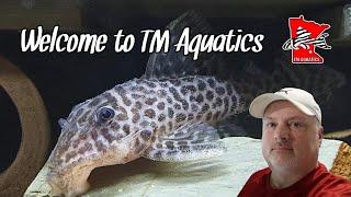 Welcome to TM Aquatics