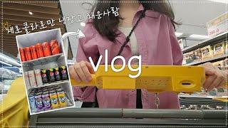 vlog.장보기에 월급 다 쓴 대기업 직장인| 지옥의 냉장고정리| 혼돈의 집들이