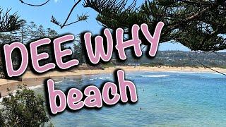 Северные пляжи Сиднея: обзор Dee Why beach