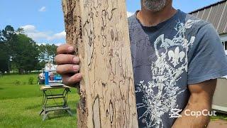 Spalted Maple Surfacing and Milling into Stock for Bowl Blanks and Various Projects