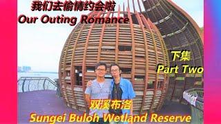 Sungei Buloh Wetland Reserve Trail Explorer Outing Trip 双溪布洛探险探索环境清净幽雅偷情约会地点 Romance Outing pt2 下集