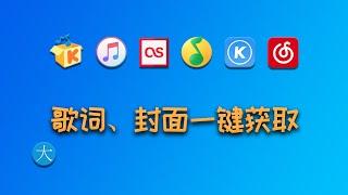 一键获取歌词、封面、专辑等信息，全能音乐信息标签采集软件【MusicTag】