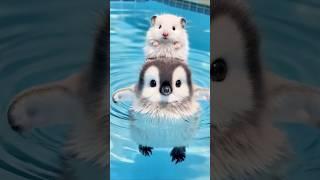 penguin save a hamster#cute #fluffy #animals #adorable #penguin #fluffy #hamsterkombat #rescue
