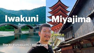 Japan's Top Destination Miyajima & Iwakuni | Trip to Yamaguchi Hiroshima #4