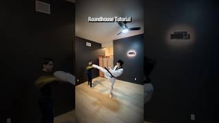 Taekwondo Roundhouse Kick Tutorial