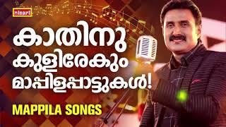 MAPPILA SONGS | Malayalam Mappila Songs | Nisari Mappila Pattukal | Pazhayamappila Songs