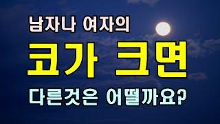 코가 큰 사람의 특징과 성격/청곡의 니캉내캉