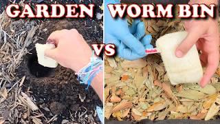 Garden Worms vs Compost Worm Bin | Vermicompost Worm Farm