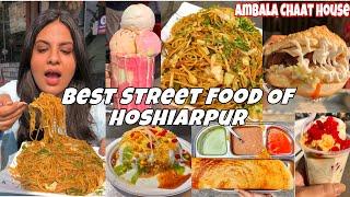 Best Street Food of Hoshiarpur Part 2 | Ambala Chaat House, Lucky Food Plaza| Tanya Dhamija