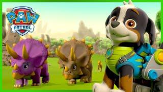 Dino Rescue PAW Patrol saves dinosaurs and more! - PAW Patrol - Cartoons for Kids Compilation