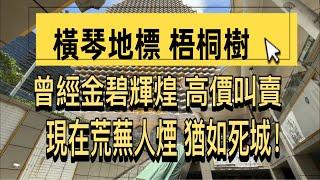 珠海橫琴「梧桐樹」竟然如此荒涼？曾經地標建築轟動橫琴