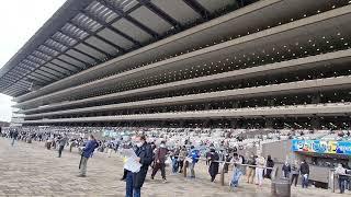 Huge Tokyo Race Course, First Time Watching Horse Racing in Japan