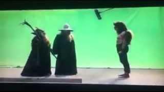 The Hobbit 3 The Battle of the Five Armies Extended Edition Beorn Deleted Scene