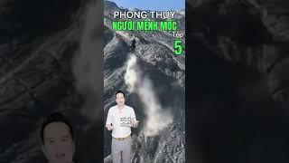 #tuviphuongdong TỬ VI PHONG THUỶ: NGƯỜI MỆNH MỘC - Tập 5 - Dương Liễu Mộc, Đại Lâm Mộc , Thạch Lựu