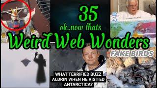 Weird Web Wonders  VOL 35