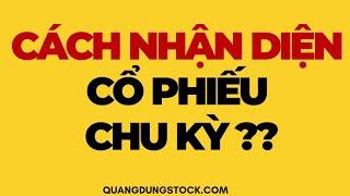 CÁCH NHẬN DIỆN CỔ PHIẾU CHU KỲ ?? | ĐẦU TƯ CỔ PHIẾU