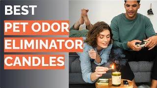  10 Best Pet Odor Eliminator Candles (Fresh Wave and More)